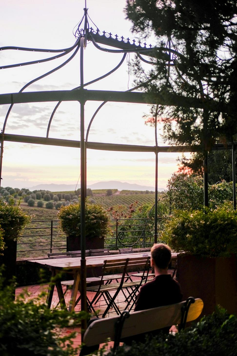 Vineyard views