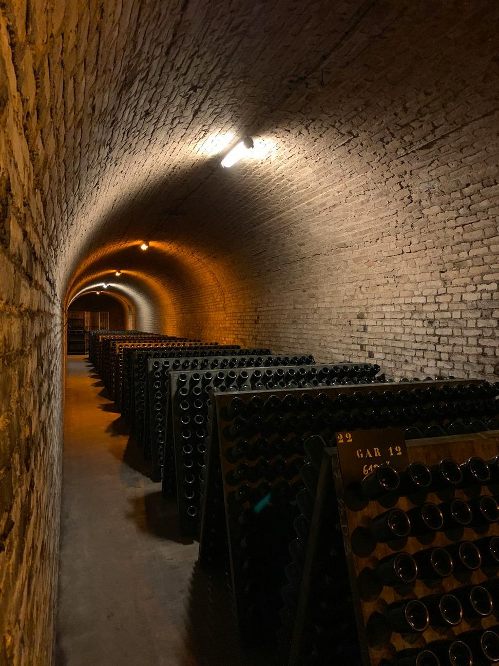 Wine Collection